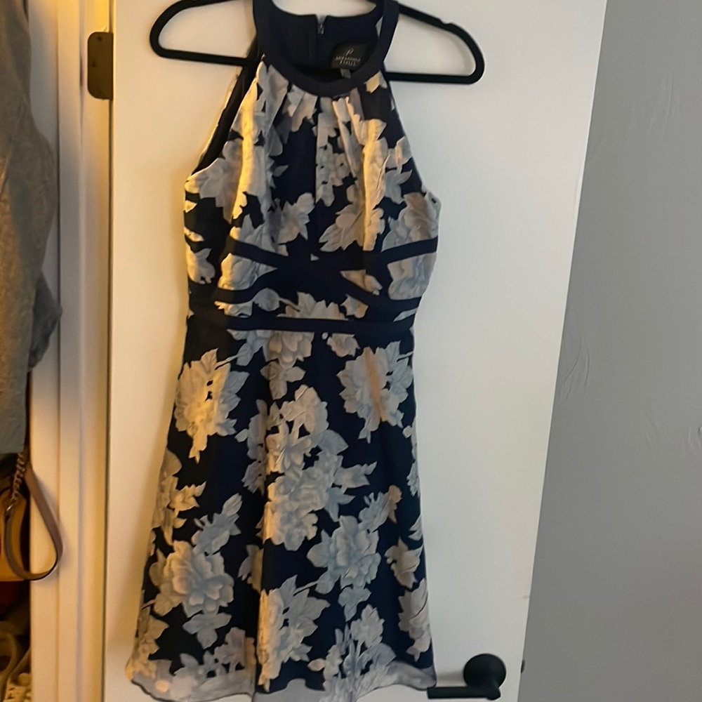 Adriana appell dress worn once for a wedding
